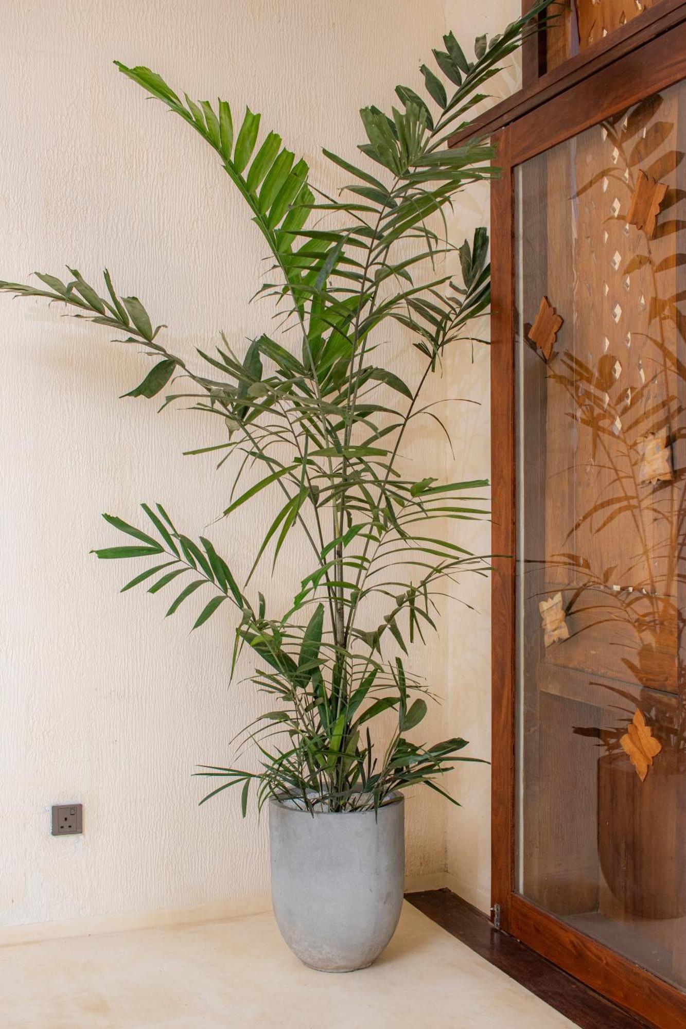 Spicepeek Boutique Hotel Cmb Airport Katunayake Exterior photo